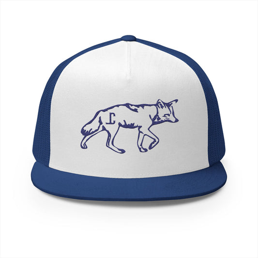 The Coyote
