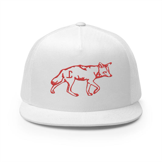The Coyote